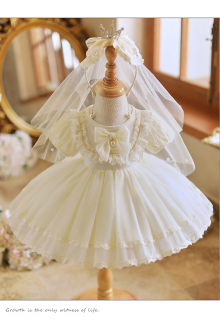 9219 Christening Gown & Bonnet Ball Gown Baby Birthday Dress